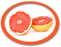 concentrated grapefruit juice suppliers usa