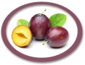 concentrated plum juice suppliers usa