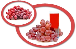 red grape juice concentrate